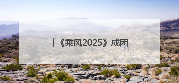《乘风2025》成团名单公布：叶童获年度总冠军，李晟、吴宣仪等10位姐姐成功成团，陈德容获年度高光人物