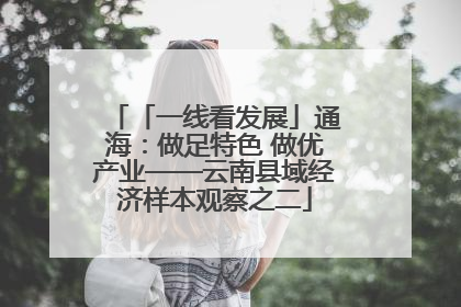 「一线看发展」通海：做足特色 做优产业——云南县域经济样本观察之二