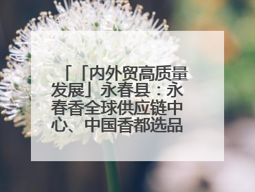 「内外贸高质量发展」永春县：永春香全球供应链中心、中国香都选品中心相继运营——一根香“点燃”百亿产业