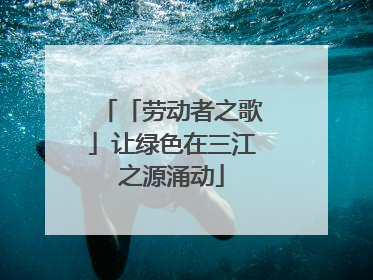 「劳动者之歌」让绿色在三江之源涌动