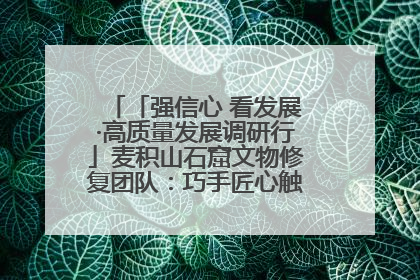 「强信心 看发展·高质量发展调研行」麦积山石窟文物修复团队：巧手匠心触摸“光阴的故事”