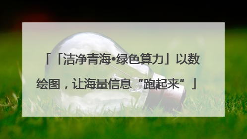 「洁净青海•绿色算力」以数绘图，让海量信息“跑起来”
