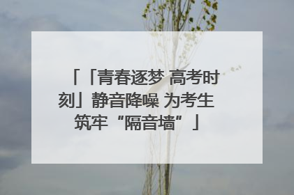 「青春逐梦 高考时刻」静音降噪 为考生筑牢“隔音墙”