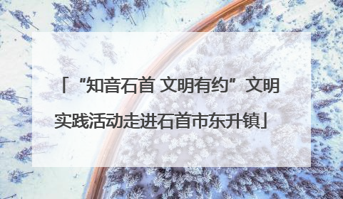 “知音石首 文明有约”文明实践活动走进石首市东升镇