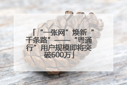 “一张网”焕新“千条路”——“粤通行”用户规模即将突破600万