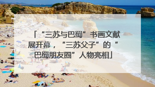“三苏与巴蜀”书画文献展开幕，“三苏父子”的“巴蜀朋友圈”人物亮相