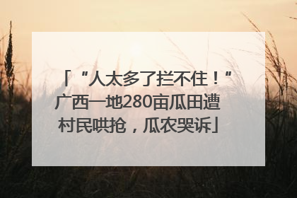 “人太多了拦不住！”广西一地280亩瓜田遭村民哄抢，瓜农哭诉