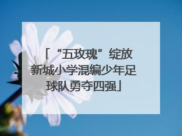 “五玫瑰”绽放 新城小学混编少年足球队勇夺四强