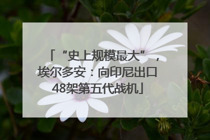 “史上规模最大”，埃尔多安：向印尼出口48架第五代战机