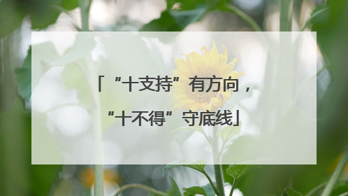 “十支持”有方向，“十不得”守底线
