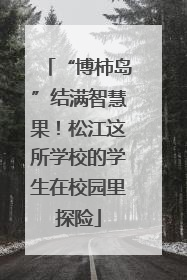 “博柿岛”结满智慧果！松江这所学校的学生在校园里探险