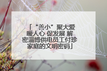 “善小”聚大爱 暖人心 促发展 解密淄博供电员工付珍家庭的文明密码