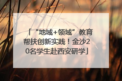 “地域+领域”教育帮扶创新实践！金沙20名学生赴西安研学