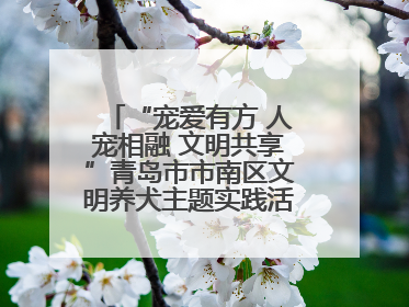 “宠爱有方 人宠相融 文明共享”青岛市市南区文明养犬主题实践活动举办