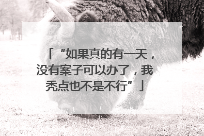 “如果真的有一天，没有案子可以办了，我秃点也不是不行”