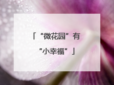 “微花园”有“小幸福”