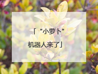 “小萝卜”机器人来了