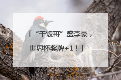 “干饭哥”盛李豪，世界杯奖牌+1！