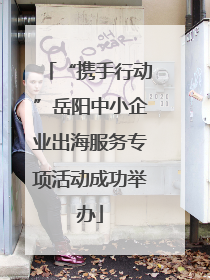 “携手行动”岳阳中小企业出海服务专项活动成功举办
