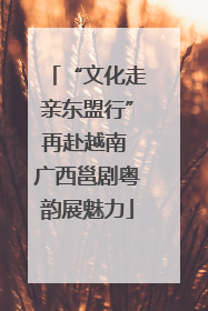 “文化走亲东盟行”再赴越南 广西邕剧粤韵展魅力