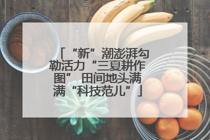 “新”潮澎湃勾勒活力“三夏耕作图” 田间地头满满“科技范儿”