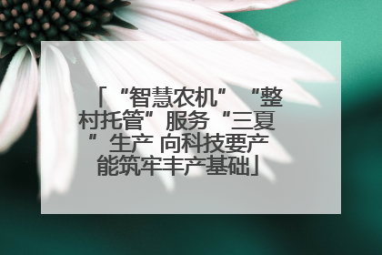 “智慧农机”“整村托管”服务“三夏”生产 向科技要产能筑牢丰产基础
