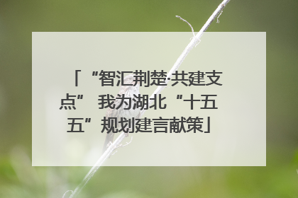 “智汇荆楚·共建支点” 我为湖北“十五五”规划建言献策