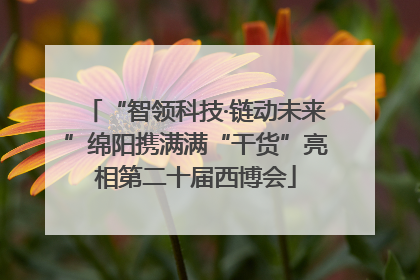“智领科技·链动未来”绵阳携满满“干货”亮相第二十届西博会