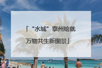 “水城”泰州绘就万物共生新图景