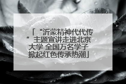 “沂蒙精神代代传”主题宣讲走进北京大学 全国万名学子掀起红色传承热潮
