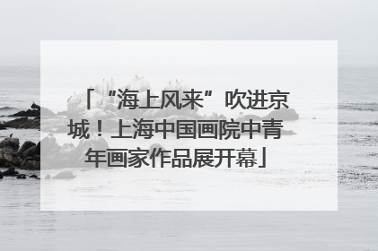 “海上风来”吹进京城！上海中国画院中青年画家作品展开幕