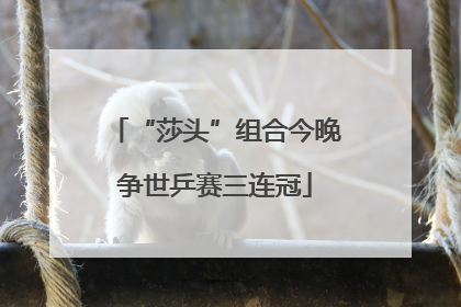 “莎头”组合今晚争世乒赛三连冠
