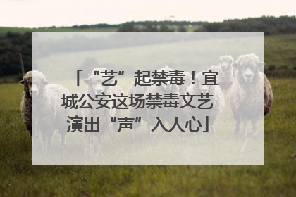 “艺”起禁毒！宜城公安这场禁毒文艺演出“声”入人心