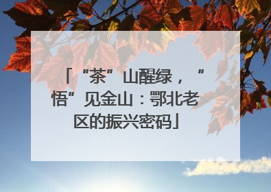 “茶”山醒绿，“悟”见金山：鄂北老区的振兴密码