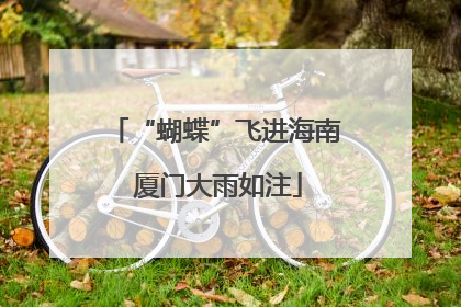 “蝴蝶”飞进海南 厦门大雨如注