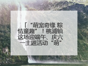 “萌宠奇缘 粽情童趣”！桃浦镇这场迎端午、庆六一主题活动“萌”翻全场～