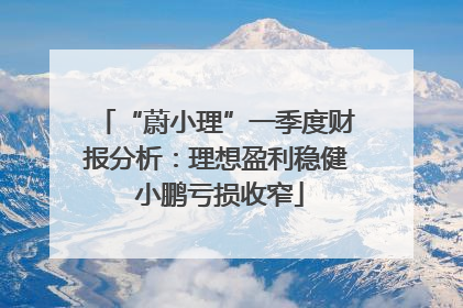 “蔚小理”一季度财报分析：理想盈利稳健 小鹏亏损收窄