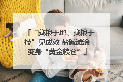 “藏粮于地、藏粮于技”见成效 盐碱滩涂变身“黄金粮仓”