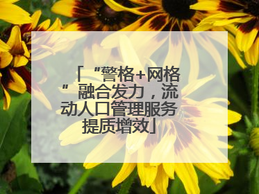 “警格+网格”融合发力，流动人口管理服务提质增效