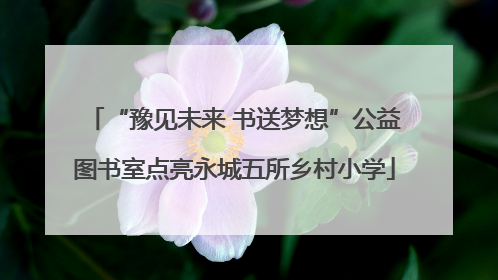 “豫见未来 书送梦想”公益图书室点亮永城五所乡村小学