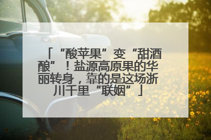 “酸苹果”变“甜酒酿”！盐源高原果的华丽转身，靠的是这场浙川千里“联姻”