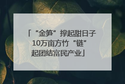 “金笋”撑起甜日子 10万亩方竹“链”起团结富民产业