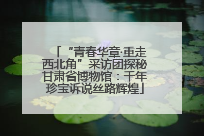 “青春华章·重走西北角”采访团探秘甘肃省博物馆：千年珍宝诉说丝路辉煌