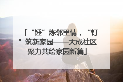 “锤”炼邻里情，“钉”筑新家园——大成社区聚力共绘家园新篇