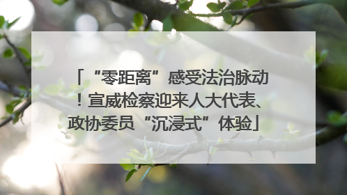 “零距离”感受法治脉动！宣威检察迎来人大代表、政协委员“沉浸式”体验