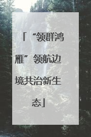 “领群鸿雁”领航边境共治新生态