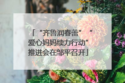 “齐鲁润春蕾”“爱心妈妈续力行动”推进会在邹平召开