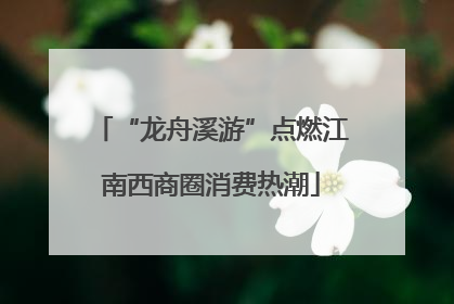 “龙舟溪游”点燃江南西商圈消费热潮
