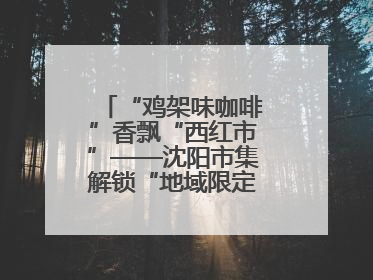 “鸡架味咖啡”香飘“西红市”——沈阳市集解锁“地域限定”消费新场景