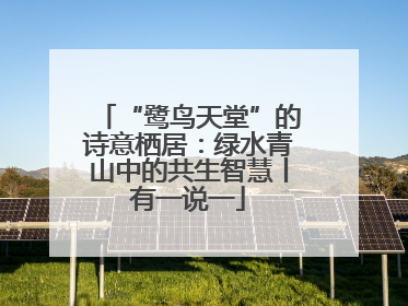 “鹭鸟天堂”的诗意栖居：绿水青山中的共生智慧丨有一说一